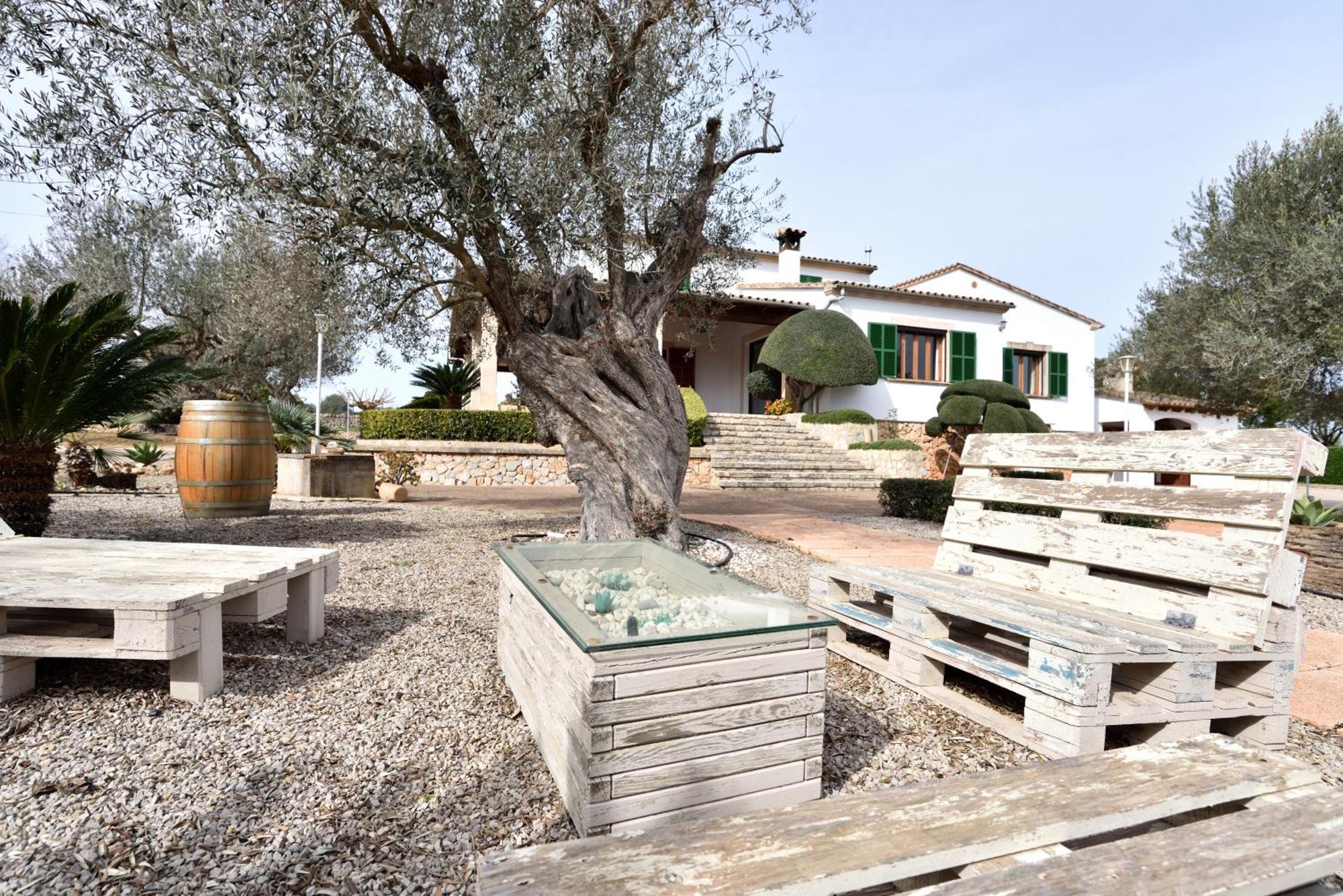Sa Finca de Jaume Sineu  Exterior foto