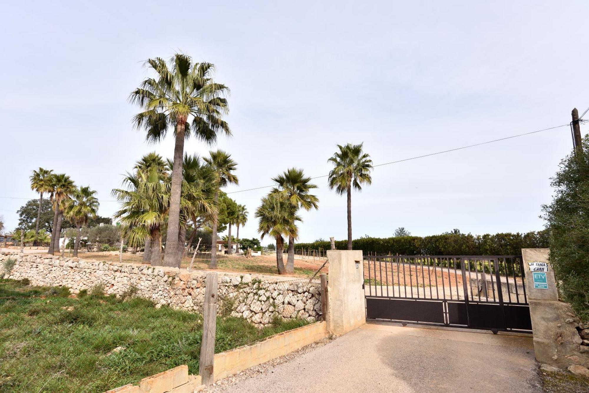 Sa Finca de Jaume Sineu  Exterior foto